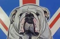 Hair of the Dog?.....