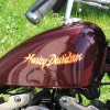 Custom painted and gilded Harley Davidson Motorcycle tank